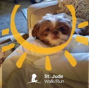 Meet your Posher, Kelli